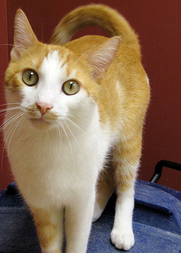 Madoc