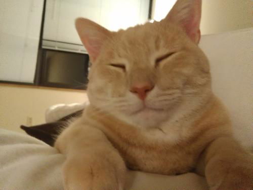 Baxter