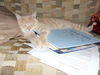 Baxter