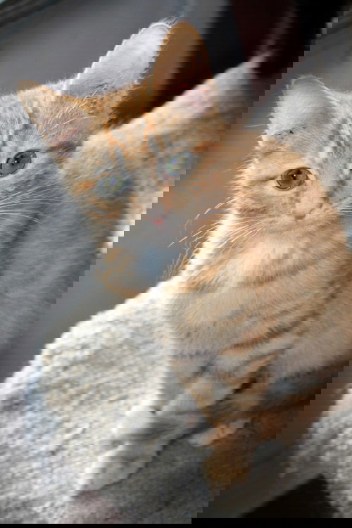 George