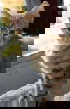 George