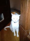 Shiloh