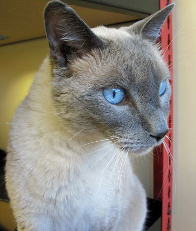 George