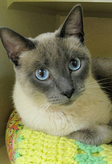 Sammy