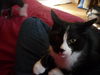 Marvin