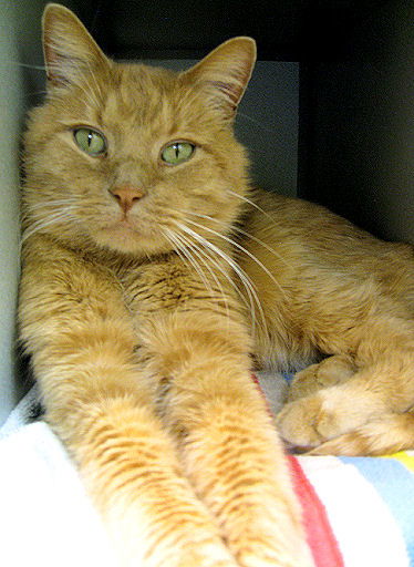 Seymore