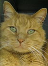 Seymore