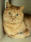 Seymore