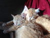 Samantha and Izabella