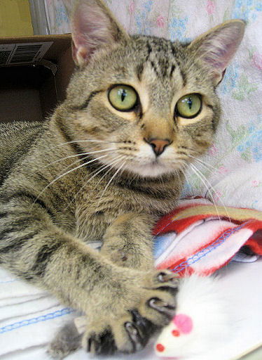 Sammy