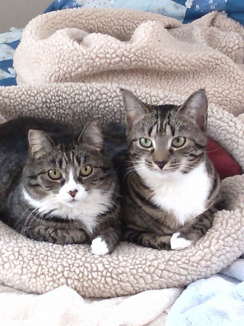 Sasha and Sylvie