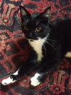 Sally