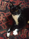 Sally