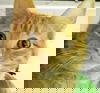 Squash