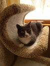 Sammie Sue