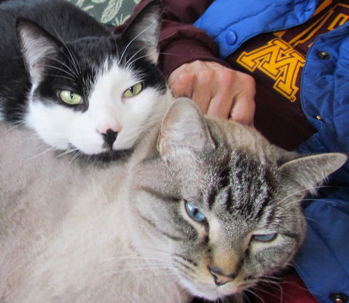 Oliver and Spencer
