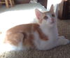Opie