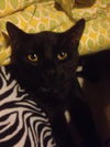 Elwood