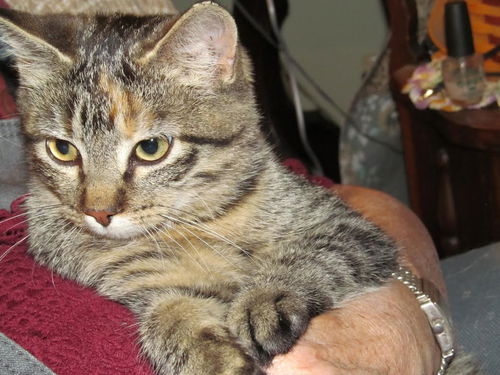 Delilah