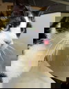 Spot