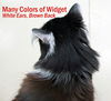 Widget