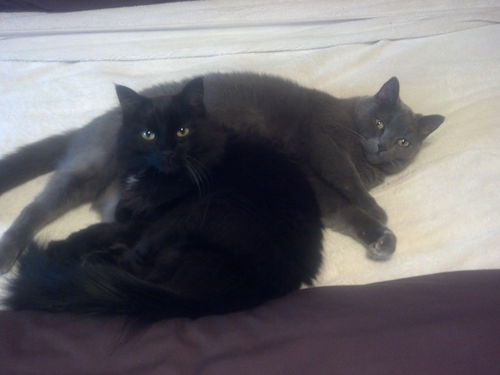 Sammy and Ellie