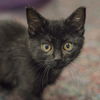 Winifred