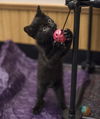 Winifred