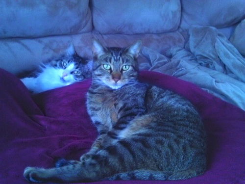 Sonny and Tigger