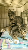 Geneva and Hattie
