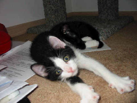Oliver