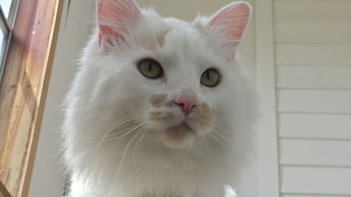 Norbert
