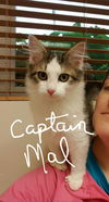 Captain Mal