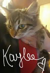 Kaylee