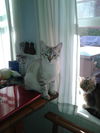 Oneida and Emily