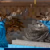 Tatenda