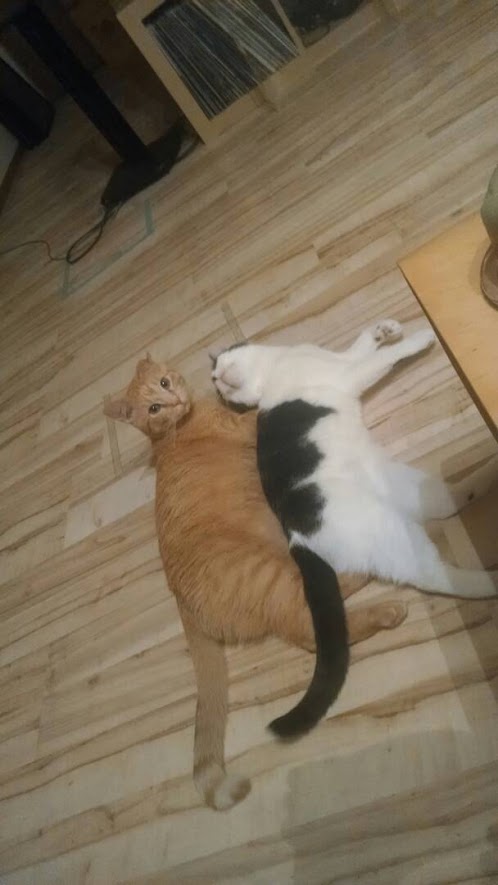 Maisy and Tom