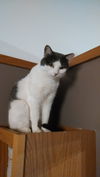 Maisy and Tom