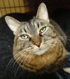 Abbie