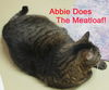 Abbie