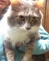 Alvin