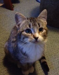 Sammi