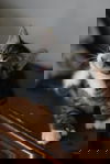 Gromit