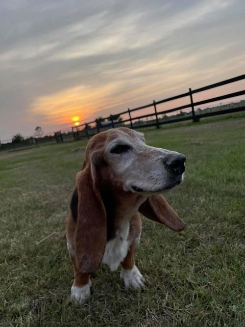 Ethel