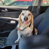 Betty