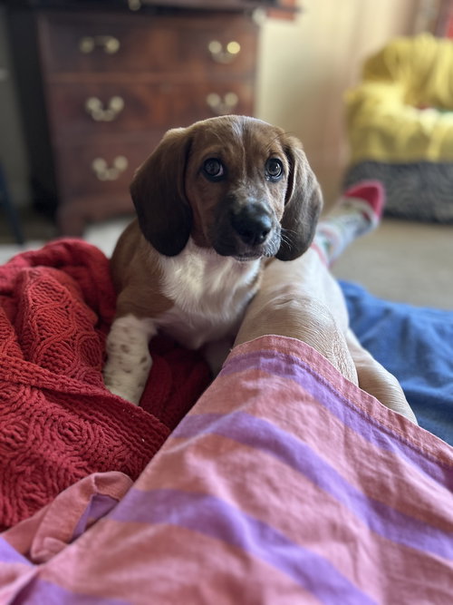 Frida