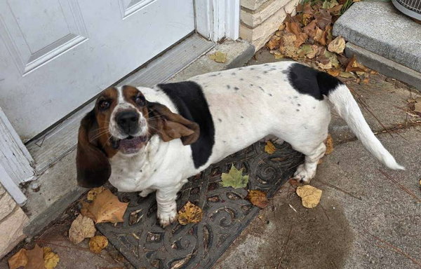 Maizie Mae