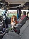 Roscoe