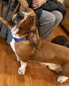 Roscoe