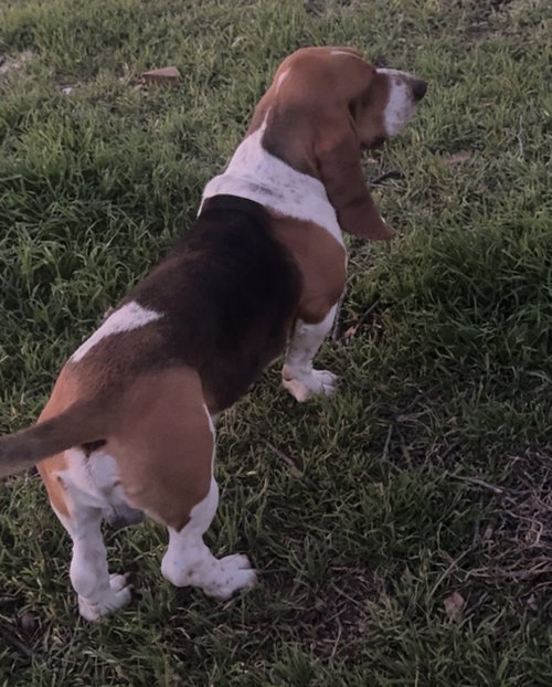 Charlie photo 3